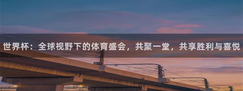 世界杯在线直播入口:世界杯:全球视野下的体育盛会,共聚一堂,共享胜利与喜悦