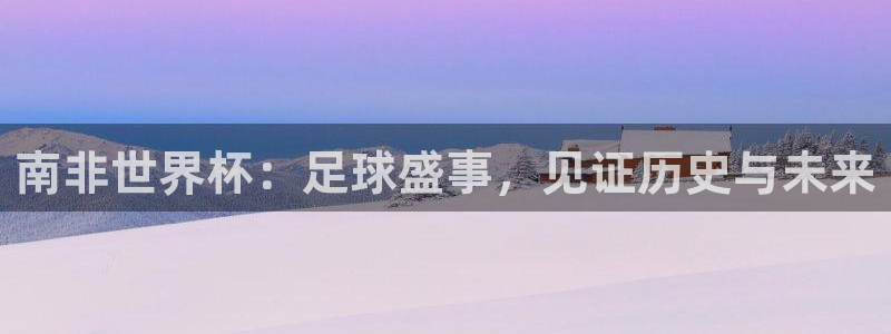 2026年世界杯对阵图:南非世界杯:足球盛事,见证历史与未来