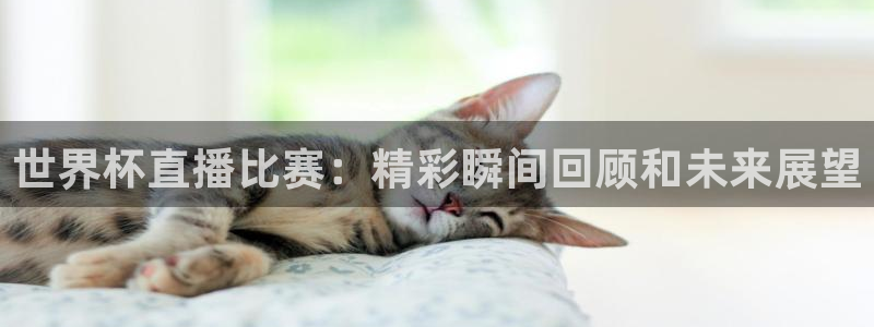 世界杯赛程时间表:世界杯直播比赛:精彩瞬间回顾和未来展望