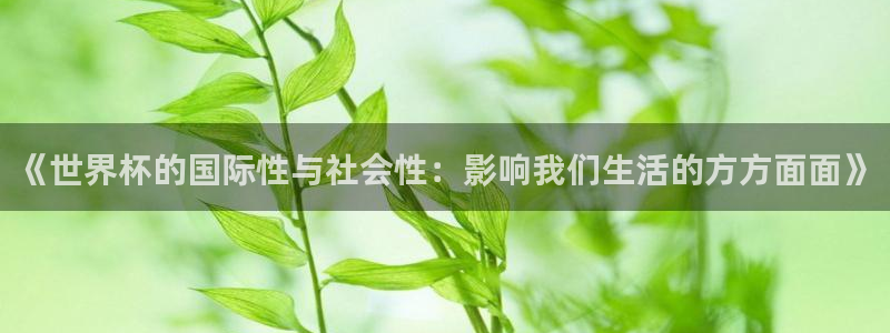 今年的世界杯:《世界杯的国际性与社会性:影响我们生活的方方面面》