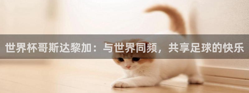 世界杯时间:世界杯哥斯达黎加:与世界同频,共享足球的快乐