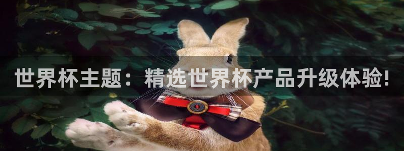 世界杯亚洲区预选赛赛程:世界杯主题:精选世界杯产品升级体验!