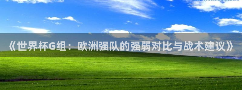 世界杯预选赛亚洲区积分榜:《世界杯G组:欧洲强队的强弱对比与战术建议》
