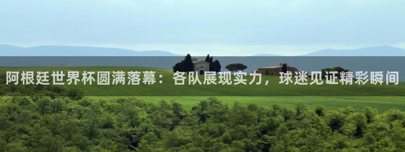 2006年世界杯:阿根廷世界杯圆满落幕:各队展现实力,球迷见证精彩瞬间