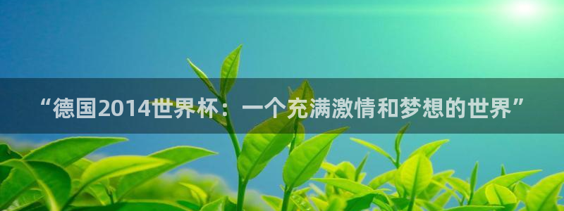 2026世界杯赛:“德国2014世界杯:一个充满激情和梦想的世界”