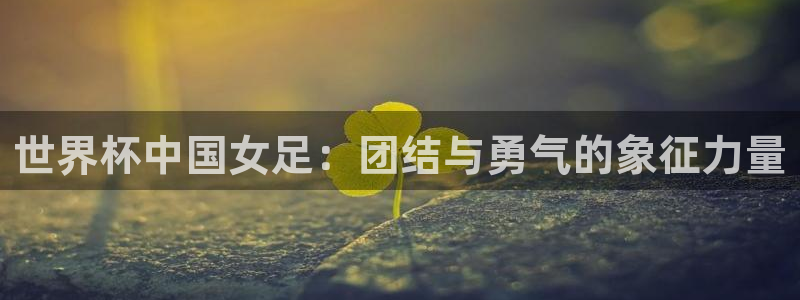 2006世界杯:世界杯中国女足:团结与勇气的象征力量