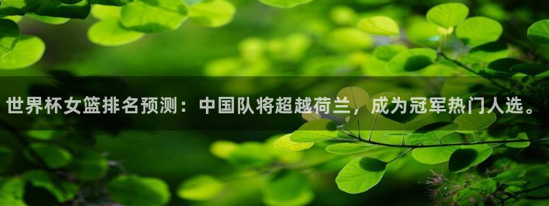 2026世界杯赛程表完整版:世界杯女篮排名预测:中国队将超越荷兰,成为冠军热门人选。