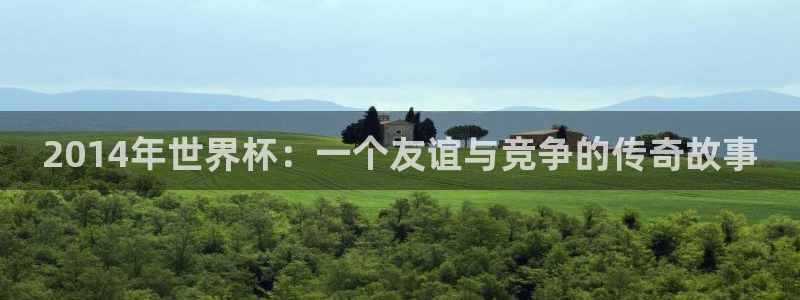 2026年男足世界杯:2014年世界杯:一个友谊与竞争的传奇故事