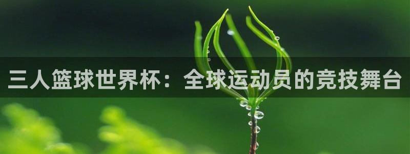世界杯足球:三人篮球世界杯:全球运动员的竞技舞台